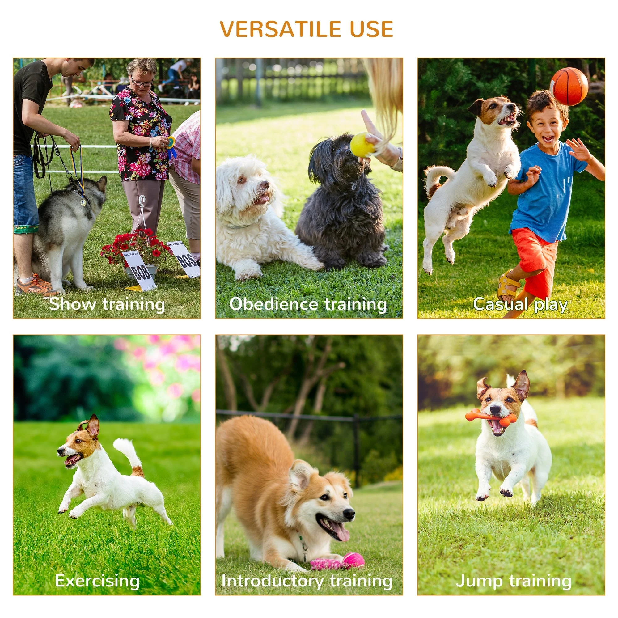 Agility Dog Obstacle Course With Carry Bag by Pawhut - Image 6