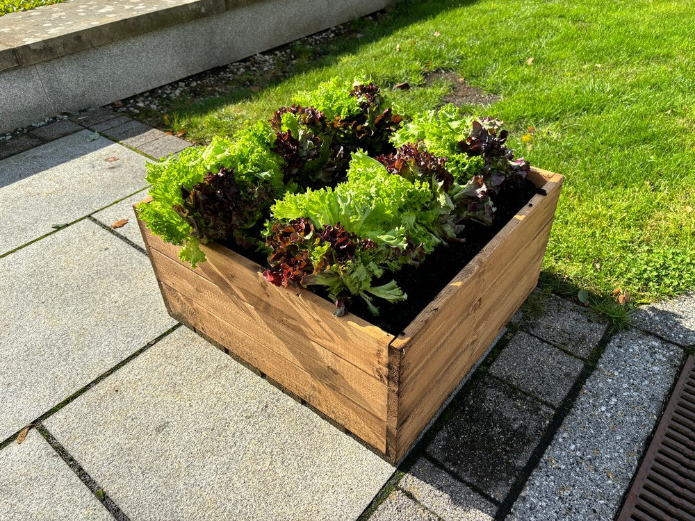 Country Square Garden Planter by Charles Taylor - Image 6
