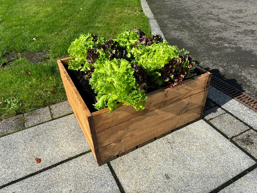 Country Square Garden Planter by Charles Taylor - Image 9
