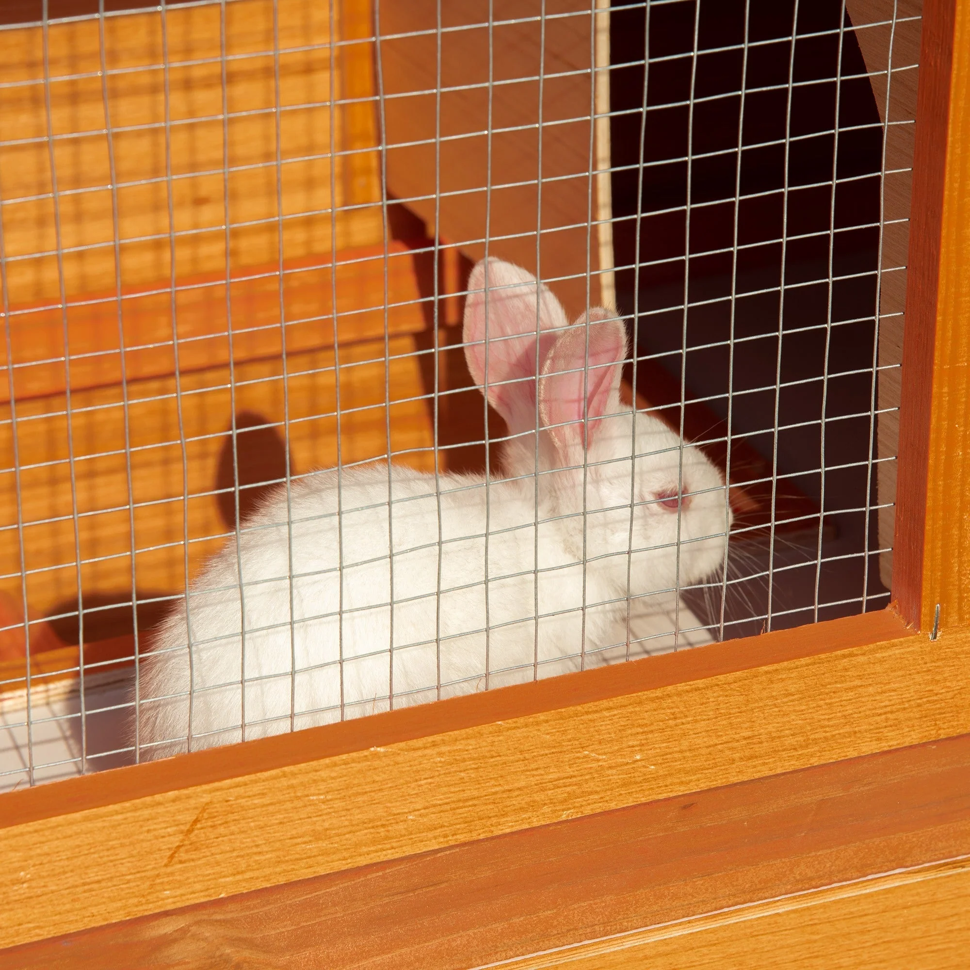 PawHut 2-Tier Rabbit Hutch Wooden Guinea Pig Hutch Double Decker Pet Cage Run with Sliding Tray Opening Top - Image 8