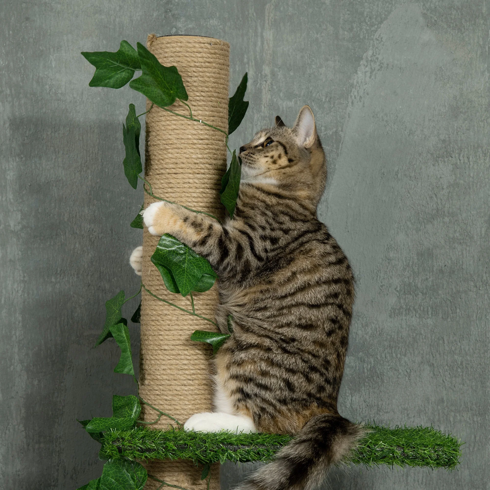PawHut 242cm Adjustable Floor-To-Ceiling Cat Tree - Image 7
